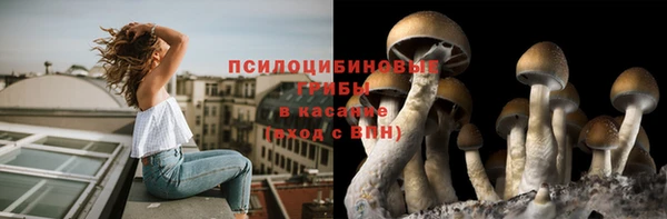 ECSTASY Баксан