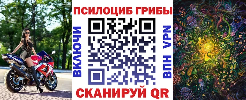 kraken ССЫЛКА  Новое Девяткино  Галлюциногенные грибы Psilocybe 