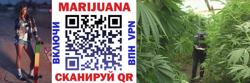 Шишки марихуана OG Kush Новое Девяткино
